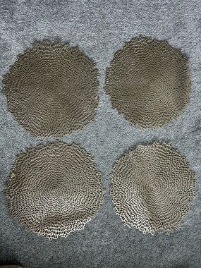 Set of 4 Round Metallic Platinum Gold Placemats